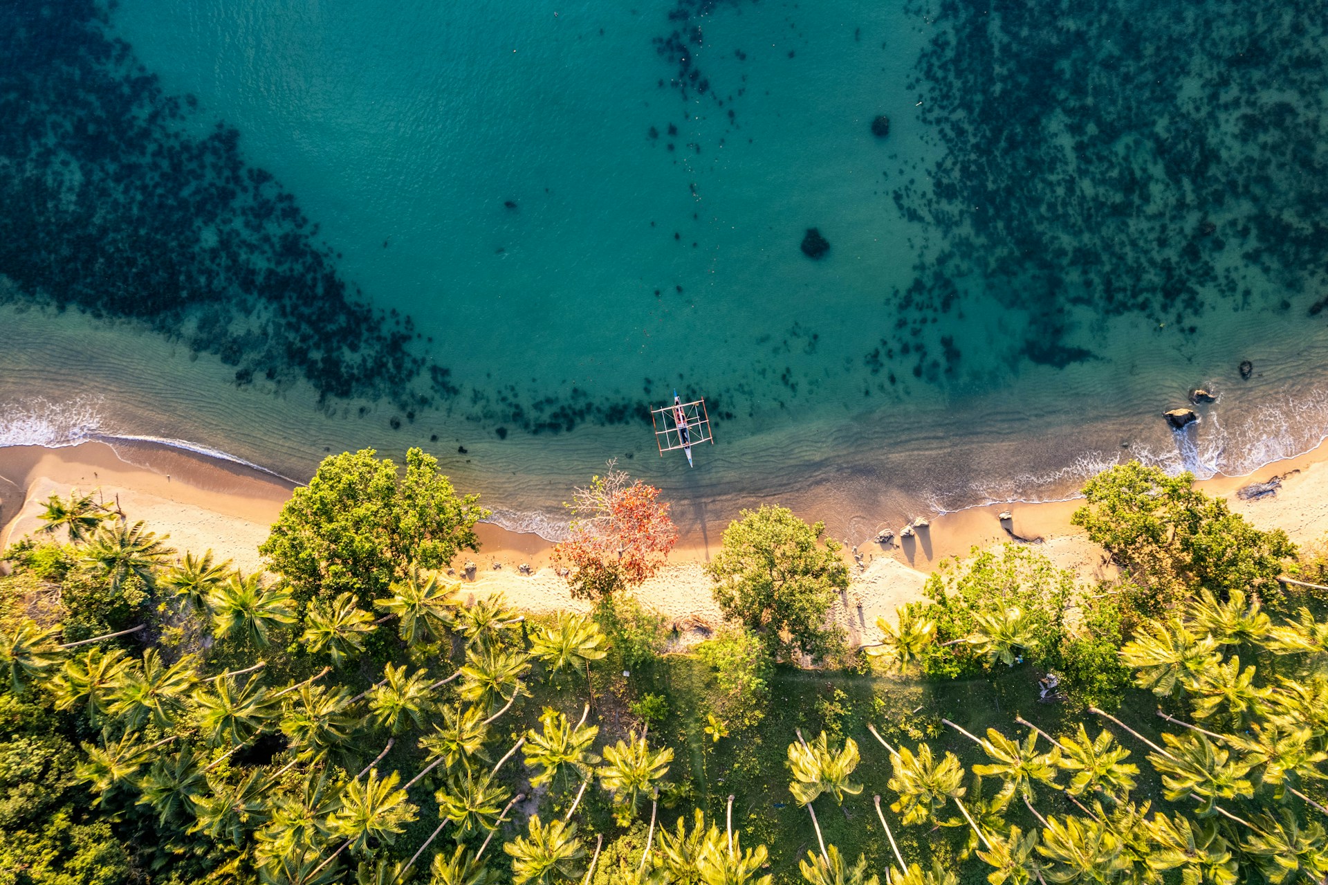 palawan 